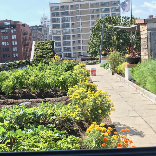 Food roof Downtown STL