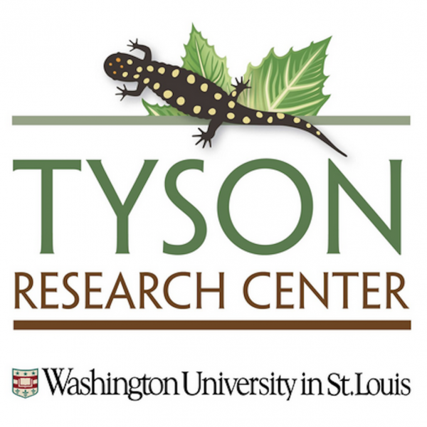 Tyson Environmental Humanities Undergraduate Research Fellowship