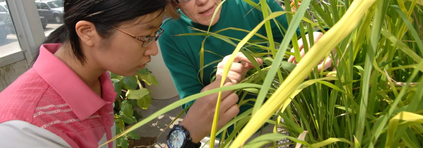 two women looking at plant samples