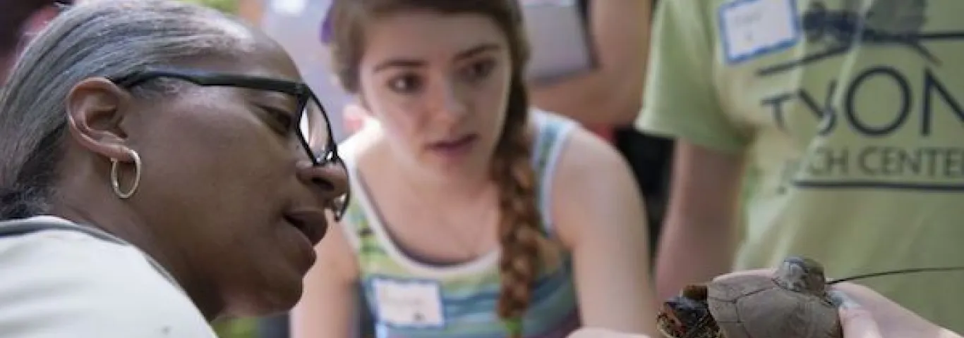 students looking at box turtle