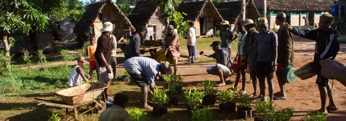 people working outdoors