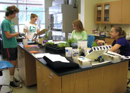 students working in lab