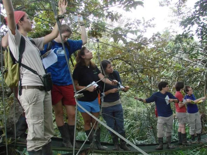 students doing ropes course